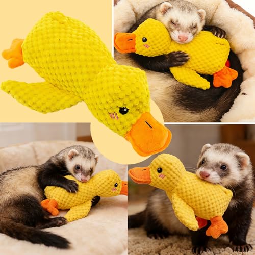 Calming Duck Squeaker Toy for Ferrets, New Interactive Yellow Duck Ferret Toy to Play with, Soft Stuffed Plush Ducks Ferret Toys and Enrichment with Quacking Sound for Ferret Keep Busy