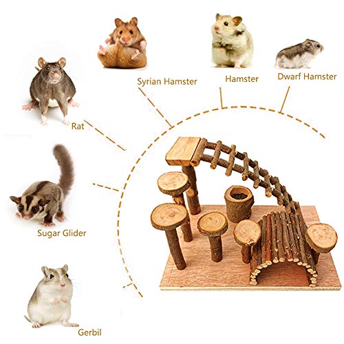 Wooden Hamster Bridge, Small Animals Climbing Ladder Activity Set Platform Ramps Playground Toys for Mouse Gerbil Rat Sugar Glider Dwarf Syrian Hamster - style: Platform of climbing ladder and bridge