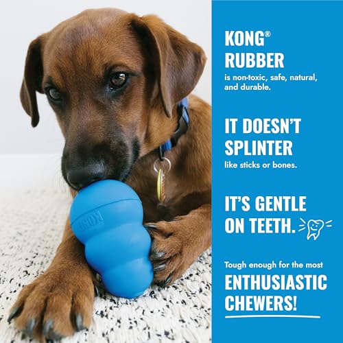KONG Puppy Activity Ball, Natural Rubber Teething Toy, Medium Puppies, Pink - color: Pink, size: Medium (Pack of 1)