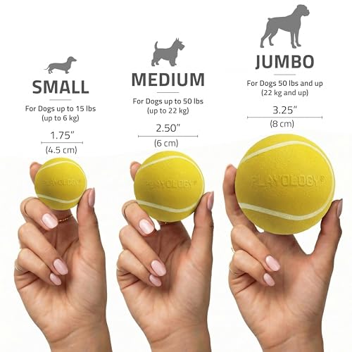 Playology Squeaky Chew Ball Dog Toy - Medium, Chicken Scent - size: Medium, style: Chicken