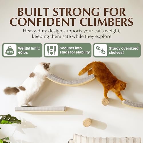 Extra Large 23.6”×14.6” CALLICO HAVEN- Stylish Cat Wall Shelves with Curved Design, Modern Wall-Mounted Cat Tree Hammock with Soft Cushion, Sturdy/Hidden Mounts, Washable Cover, Sleek Design -C Shape