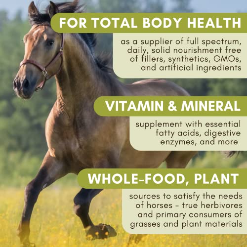 Horse Supplement for Total Body Health, 45 Day Supply for 1000 lb Horse