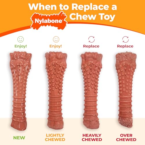 Nylabone Power Chew Original Bone Dog Chew Toys, X-Small, 3 Count - size: X-Small