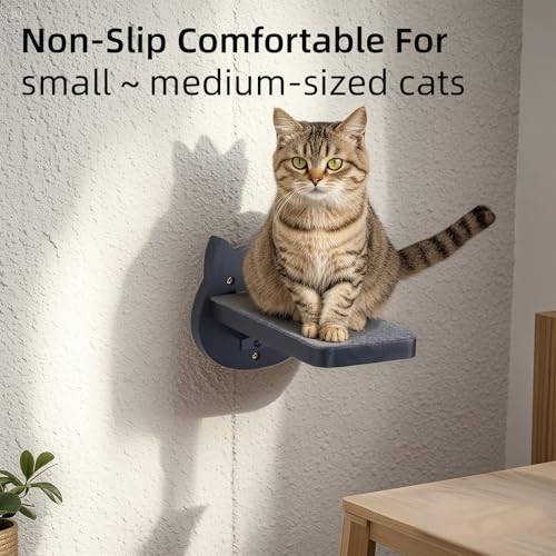 ESPETS Black Painted Solid Wood Cat Wall Climbing Steps, Set of 3 - color: Black