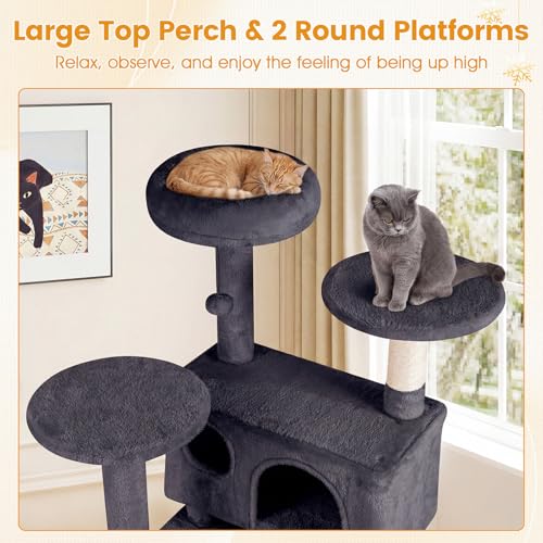 PETSITE 52-inch Cat Tree, Multi-Level Cat Tower with Sisal Scratching Posts, 2 Comfy Condos, Plush Padded Soft Top Perch, Dangling Balls, and Climbing Ladder, Ideal for Indoor Cats (Dark Grey) - color: Dark Grey