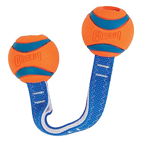 Chuckit! Ultra Duo Tug Toy, Small Indoor and Outdoor for Dogs 0-20 Pounds - size: Small, style: Ultra Duo Tug