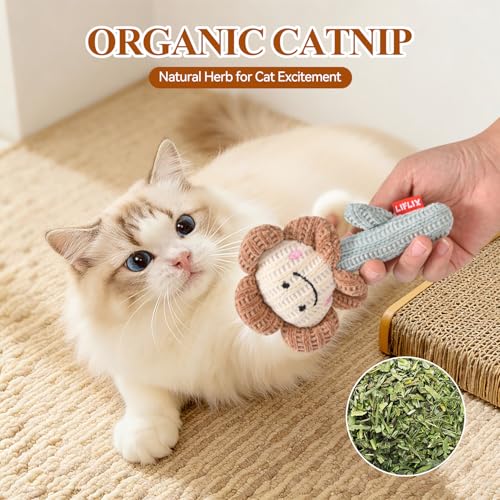 LIFLIX 3PCS Catnip Cat Toys, Cute Cat Nip Plush Toys for Indoor Cats, Interactive Small Cat Kicker Toys(3 Shapes) - color: Cactus, Cat, and Flower 3-Piece Set