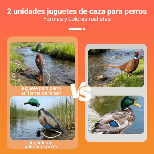 Duck Decoys, 2‑Pack Hunting Dog Bumper Set