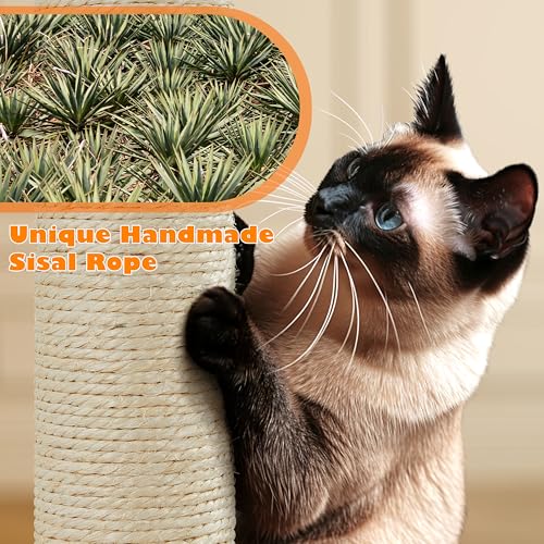 Topeakmart 62.2 inches Cat Tree, Cat Tower w/Double Condos, Scratching Posts & Hammock, Cat Activity Tree Kitten Play House, Black - color: Black, size: 24"L x 19"W x 62"H