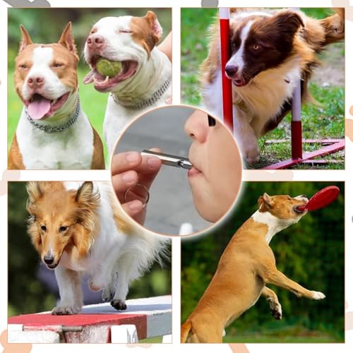 2 Pack Dog Whistle, Portable Dog Training Whistle, Dog Whistle to Stop Barking Neighbors Dog for Recall and Pet Behavior Control (Black+Whie)