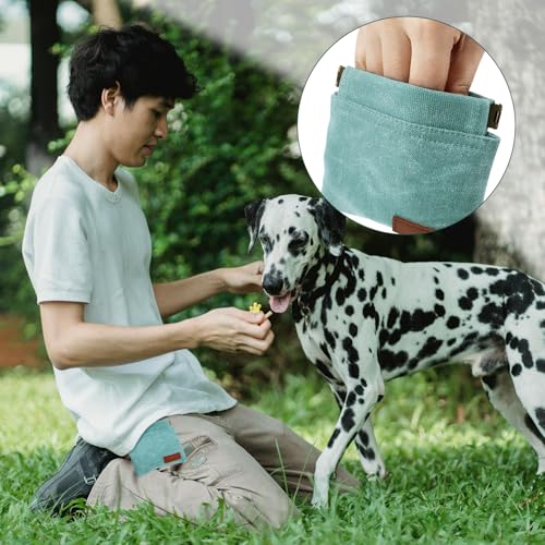 1 Pcs Pocket Pet Training Pouch,Dog Treat Pouch (Cyan) - color: Cyan