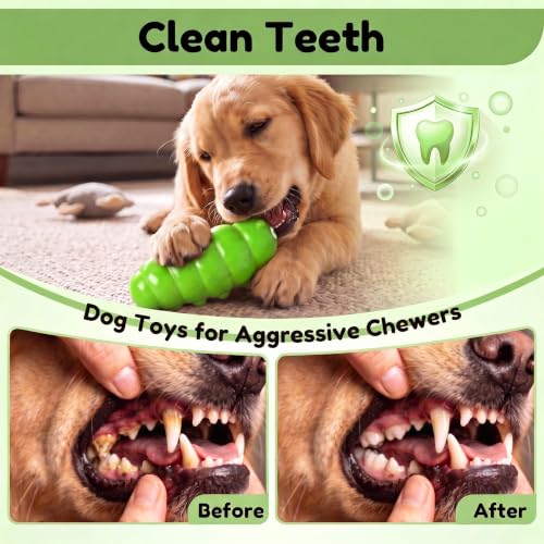 Squeaky Dog Chew Toys, Interactive Tough Indestructible Dog Toys for Aggressive Chewers, Medium to Large Dogs, Indoor & Outdoor Use - color: Green Chubby