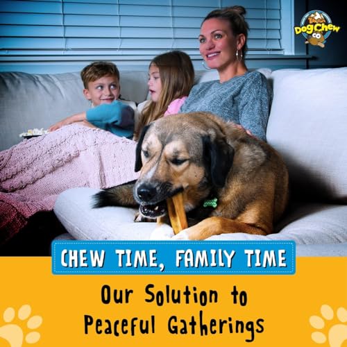 Tibetan Dog Chew Yak Cheese Sticks - Natural Treats for Small Dogs, 15-Pack - size: 1 Count (Pack of 15)