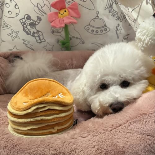 CHEWFFON Pancake Dog Snuffle Toy, Layered Treat Hiding Enrichment Game - style: Pancake