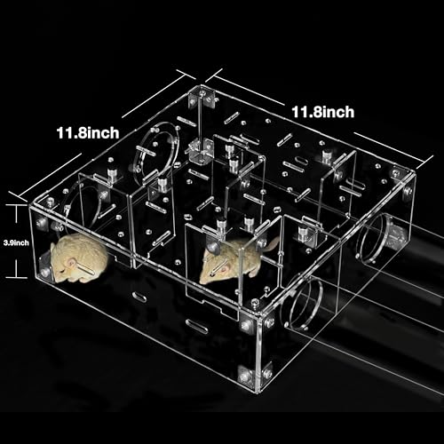GuineaLoft™ Small Pet Maze V2 – Innovative Maze Hamsters & Small Rodents - color: Maze V2