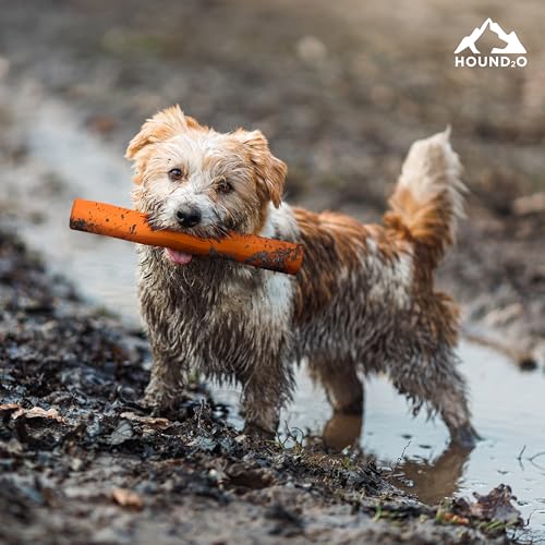 Playology Hound2O Fetch Stick Dog Toy - Outdoor Dog Toy - Orange - color: Orange