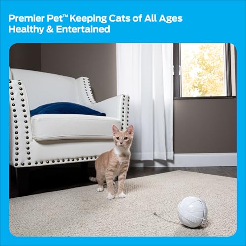 Premier Pet Fox Den Automatic Interactive Cat Toy