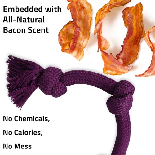 Playology Tug Rope Dog Toys for Large Breed Dogs - Jumbo, Bacon Scent - size: Jumbo, style: Bacon