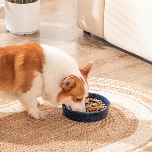 vancasso Slow Feeder Dog Bowl, 1.5 Cup Ceramic Puzzle Dish for Medium Breed - color: Blue, size: M - 1.5 Cups