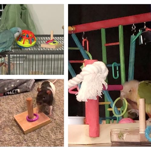 QBLEEV Bird Tabletop Toy, Parrot Activity & Training Trick Color Ring Toys - color: Color Circle B