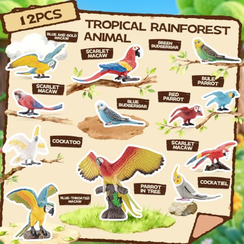 12PCS Large Parrot Toys for Kids, Realistic Bird Figurines Toy Set — Solid Plastic Rainforest Animal Figures for Toddlers 3-5, Bird Cake Toppers & Party Favors for Boys Girls - style: 12PCS Large Parrot Toys