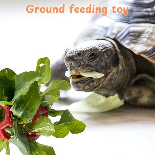 Turtle Feeder Ball with Chain, Hanging Tortoise Treat Ball, Turtle Enrichment Toys, Tortoise Hay Holder, Foraging Food Toy for Small Pet Rabbit Bunny Guinea Pig, Tortoises Accessories (Red Ball) - color: Red Ball