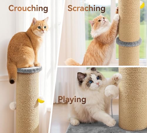 5-Inch Thick Sisal Cat Scratching Post, 36" Tall Tower, Gray - color: Gray Upgrade
