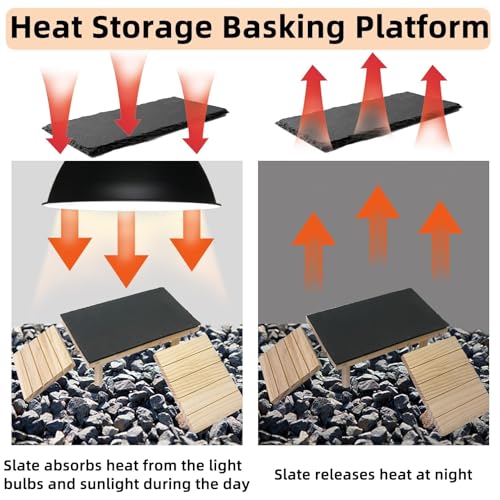 Bearded Dragon Basking Platform Reptile Hideout Climbing Tank Accessories - size: Medium