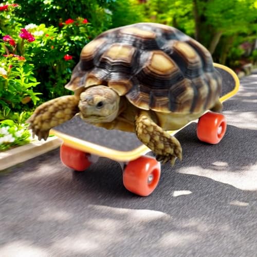 Tortoise Treat Ball and Training Skateboard Toy Set, Turtle Feeder Ball and Funny Skateboard, Tortoise Toy Feeding Balls Dry Food for Small Animals Pets Tortoises Turtles (Orange Dry Food)