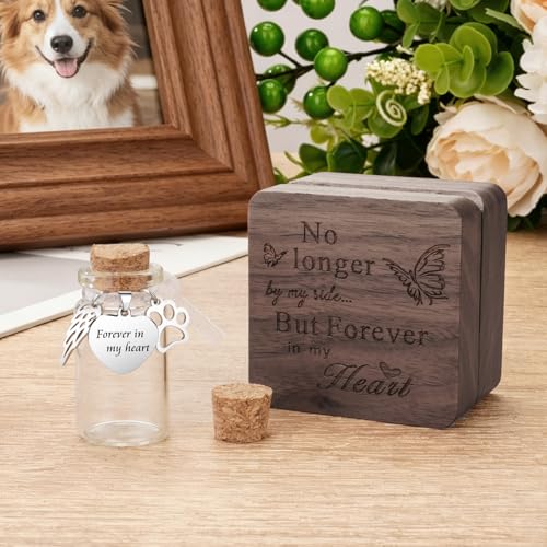 SOITIS Small Pet for Dogs Cats Wooden Box Tiny Glass Urn Pet Ashes Keepsake - color: Silver Paw