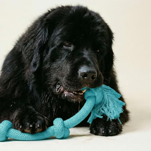 Playology Tug Rope Dog Toys for Large Breeds - Mega, Peanut Butter Scent - size: Mega, style: Peanut Butter
