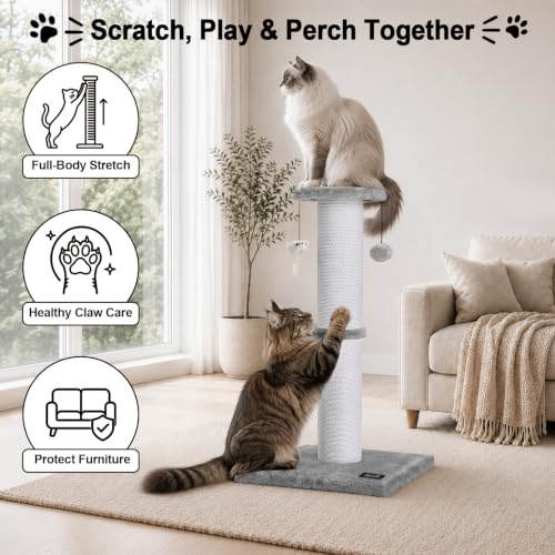 34"Tall Cat Scratching Post for Large Cats, Stable Base, Light Gray - color: Light Gray