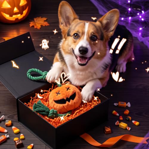 Halloween Fall Pumpkin Squeaky Tug Rope Dog Toys for Small & Medium Dogs - style: Halloween Jack-o-lantern Pumpkin
