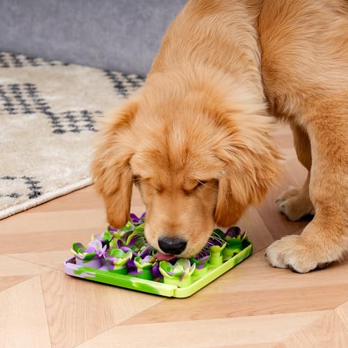 Tall Tails Spring Foraging Mat 3-Pack for Dogs and Cats – Slow Pet Feeder Puzzle Mat for Easy & Engaging Feeding