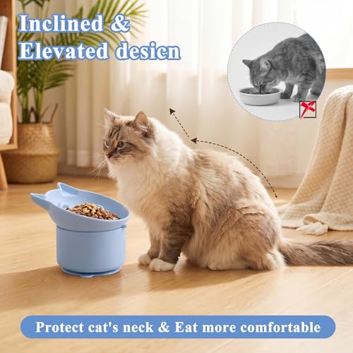 Silicone Cat Slow Feeder Mat & Bowl Set, 2 Non-Slip Slow Feed Bowls + 1 Large Licking Mat for Cats and Small Dogs, Interactive Pet Feeding Solution for Mealtime Enrichment and Digestion Aid
