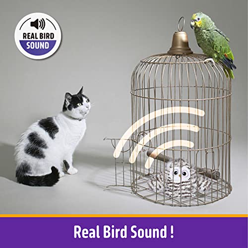 Kimee Cat Toy Automatic Chirping Owl Interactive Toys with Catnip
