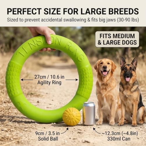 Large Dog Toy Ring and Ball Combo Set, Floating EVA 2 Pack (Green, Large) - color: Green, size: Large