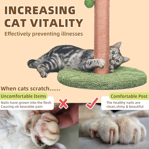 Meowoou Cat Scratching Post 33 Inch Tall Cat Scratcher for Indoor Cats Adults,Small Cat Tree Tower Sisal Rope Kitten Scratch with Interactive Hanging Ball - size: 33 in Green Post