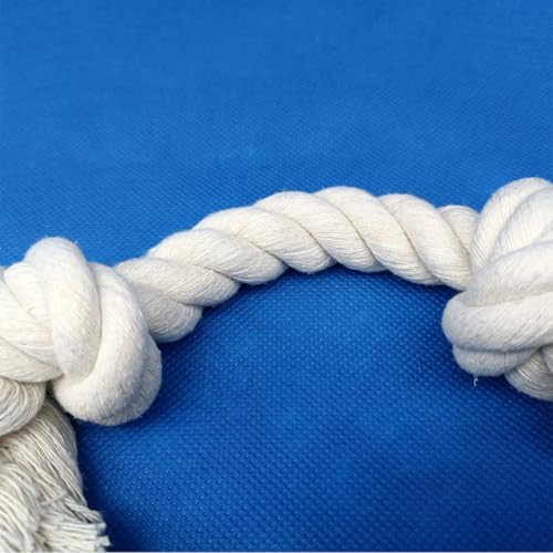 2-Pack Dog Rope Toys for Small & Medium Dogs – Durable 10" Cotton Chew Tug Toys with 2 Knots for Puppy Teething, Dental Cleaning, Boredom Relief, Indoor & Outdoor Play, White - style: 2 Knots