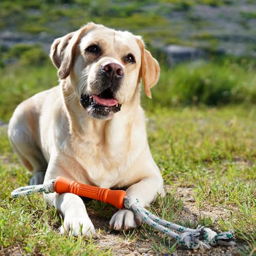 Green Sheep Tug & Enrichment Dog Toy, Interactive Rope Bone Toy with Removable Cotton Rope, Treat Dispensing Natural Rubber Dental Chew Toy for Medium and Large Dogs, Orange - color: Orange Bone With Rope