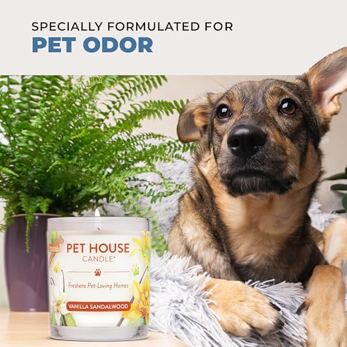 Bamboo Watermint Candle Pet Friendly Plant-Based Wax, 2 Pack Pet House - color: Bamboo Watermint, size: Pack of 2