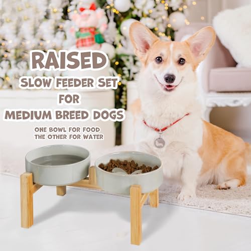 Elevated Ceramic Dog Bowls Set, Slow Feeder with Stand