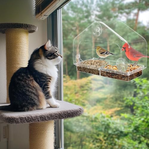 MEWTOGO Outdoor Window Bird Feeder for Cats Viewing, Large - size: Large