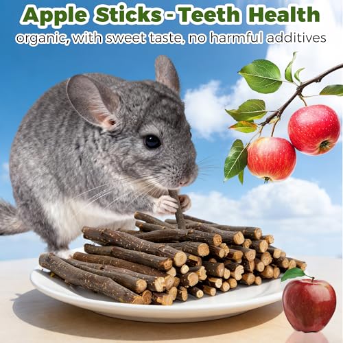 Rotating Chinchilla Chew Toys and 250g(0.55lb) Organic Apple Sticks - color: 2pcs, size: Small Chew Toy + 250g(0.55lb) Apple Sticks