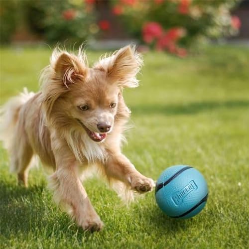 Chuckit! Sniff Ball Dog Toy, Bacon and Peanut Butter, Medium, 2 Pack - size: Medium (2 Pack), style: Duo