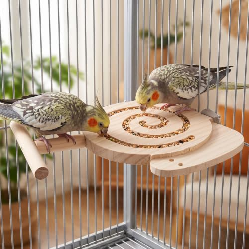 Bird Foraging Toy for Parrots