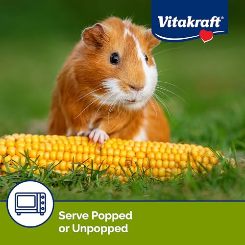 Vitakraft Mini Pops Microwavable Corn Cobs for Small Animals - Corn on The Cob Snack for Hamsters, Rabbits, & Guinea Pigs - Pet Treat & Enrichment Chew Toy - Popcorn for Small Animals (1lb) - size: 1 Pound (Pack of 1)