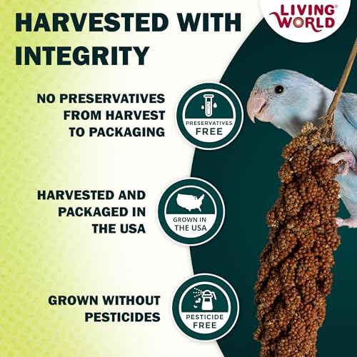 Living World - Millet Spray for Birds, 7 Oz - size: 7 Ounce (Pack of 1)