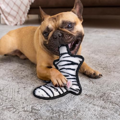 SHARLOVY No Stuffing Dog Toys Crinkle Squeaky, Long Lasting Chews for Aggressive, Durable Plush Dog Puppy Chew Toys for Teething, with 6 Tough Layers for Small Medium Large Breed-3 Pack,Small - color: Assorted 3 Pack, size: Small
