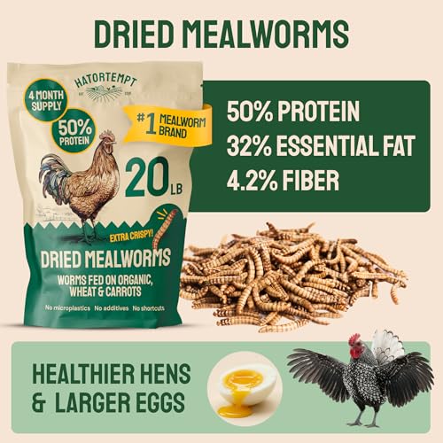 Hatortempt 20lb Dried Mealworms for Chickens & Wild Birds, Chicken Feed - size: 20 Pound (Pack of 1)